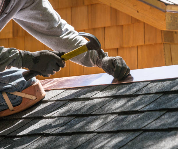 Roof Gutter Cleaning in Darien, IL
